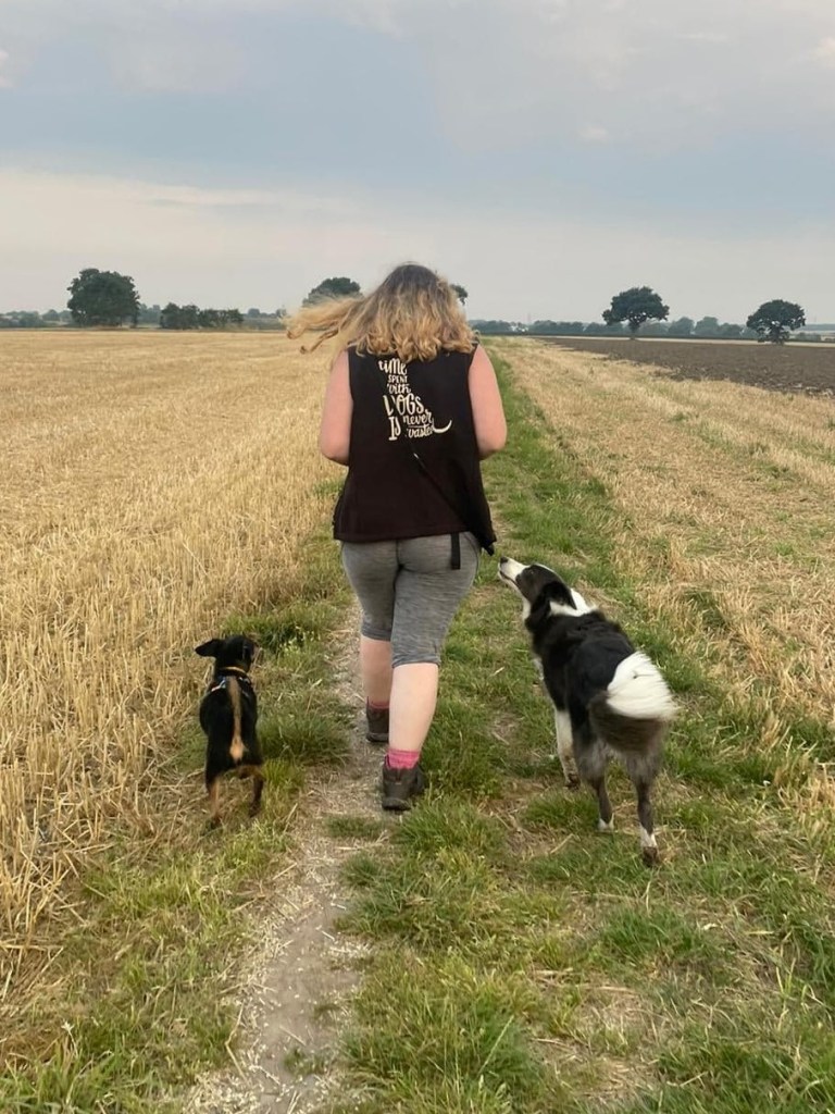 Amy walking away from the camera with Skeeter (a small black terrier dog) and Tam (a medium sized border collie)